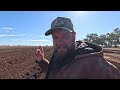 The Cotton is Away! | Cotton in Australia | Vlog 290