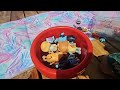 Bluey & Gabby's Dollhouse in a GIANT BUCKET! Awesome!💦 Pretend Play Toys