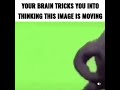 Crazy mind trick
