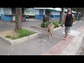 Animal HEROES Caught On Camera