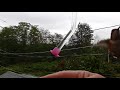 Hummingbird Friends on My Hand