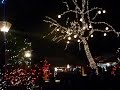 2016 X'MAS LIGHT SUSPENSION BRIDGE 聖誕燈  B- 森sing情歌