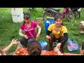 Harvesting Tomato Goes To Market Sel - Ly Tieu Toan Harvest || Phương Free Bushcraft