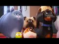 Illumination's TERRIBLE Secret Life Of Pets...