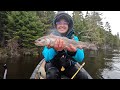 Native Brook Trout Fishing on the Remote Allagash Lake // Day One // North Maine Woods