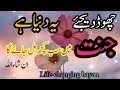 یہ دنیا ہے جنت میں سب کچھ مل جائے گا ان شاءاللـــہ ||Motivational Islamic video||