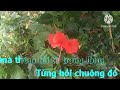 KARAOKE : Bài há / Khóc Thầm / Tone-Nữ / Tác giả / Lang phương / Kênh youtube 93 Bình Phước (P4)