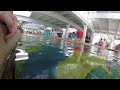 Orlando 2014 - Day 4 - Stingray tank Part 2