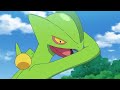 The Complete Story Of Ash's Sceptile