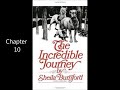 Incredible journey Chapter 10