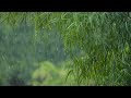 One Hour Rain Soundscape: Relaxing Rainfall Audio with Gradual Fade Out