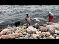 2024 whitebass fishing devils lake North Dakota