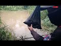 SUDAH TERBUKTI SEMUA YANG MANCING IKAN DI SUNGAI LEWI MARTI ARAH JANGARI, PANEN IKAN SEMUA