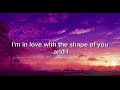 Wd Sheeran- Shape Of You.(lyrics)(audio edit)