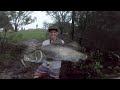 Fishing for Gold Coast Barramundi!