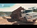 Extreme Dangerous LONGEST and BIGGEST Wood Logging Truck Driving Skill on Extreme Terrain