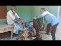 Field marshal 8HP diesel engine water pump machine start problem, Startup Generator engine