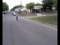 dogs chase boy