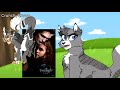 Why is Mapleshade so popular? [Warrior cats analysis]