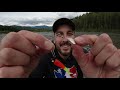 Top 5 BEST trout SPINNERS EVER (plus a bonus 