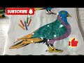 pigeon coloring/pigeon feather coloring/fancy pigeon feather coloring/pigeon coloring/pigeons/