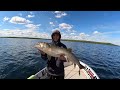 Virgin Trophy Waters In Northern Saskatchewan - Trip Of A Lifetime!