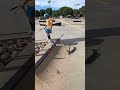 This gap is 🤯 🛴 #shorts #skatepark #challenge @romandellapena