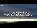 Alec Benjamin   Let Me Down Slowly (Lyrics) { 1 hour }