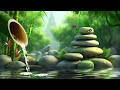 Soothing Piano Relaxation Music🌿Gentle Piano Music for Sleep 🌿Water Sounds & Relax Meditation