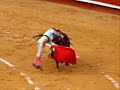 Muere torero al ser corneado (momento exacto)