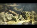 New Aquascape part 1