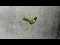 How to make a bird from palm leaf