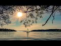 Beautiful Relaxing Music for Stress Relief