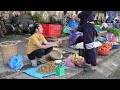 Peanuts Harvesting Goes to market sell - Gardening | Lý Tiểu Anh