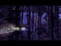 Forest - Ambient Sounds of Night Time Nature | relaxing, focus, ambience, beautiful meditative music