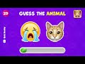 Guess the ANIMAL by Emoji? 🦒🐶 Quiz Buddy