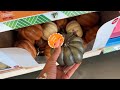 Dollar Tree Fall Collection 2024🍁🎃New at Dollar Tree🍁🎃Dollar Tree Shop W/Me #new #fall #dollartree
