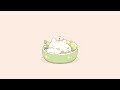 lazy cat sleep 💤 lofi chill【Cute lofi music mix】 ✨ chill/relax/study/sleep