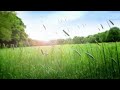 Relaxing Piano Music For Meditation Relaxation / Inspiring Peaceful Music For Study, Yoga,Deep Sleep