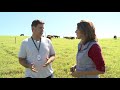 Jovem agricultor aposta no gado de corte!