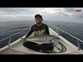 Tenggiri Pulau Penyabong (The Fastest Fish Alive)