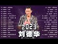 Andy Lau Mix Cantonese Songs 2023 (Secretly Fasciated, Ice Rain, Seventeen Years Old, Unending Love)