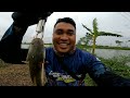 MANCING IKAN GABUS RAWA