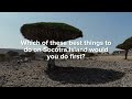 Socotra Island | Adventure Travel Vlog | Best Places to Visit in Yemen | Socotra Yemen