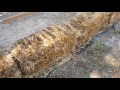 How to Start and Condition a Straw Bale Garden