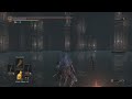 Chaotic invasion vs one of my favorite hosts #ds3tube