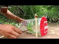Creative Unique Quick Parrot Trap Using 5 Liters Bottle, Paper And Woods - Bird Trap Working 100%