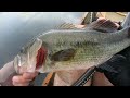 Jim Caught Lunker, Albany Bass