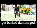 get barked damage #photoshop this is my dog so i made it