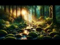 Inner Anger and Sorrow Healing: Deeply Relaxing Music for Stress Relief